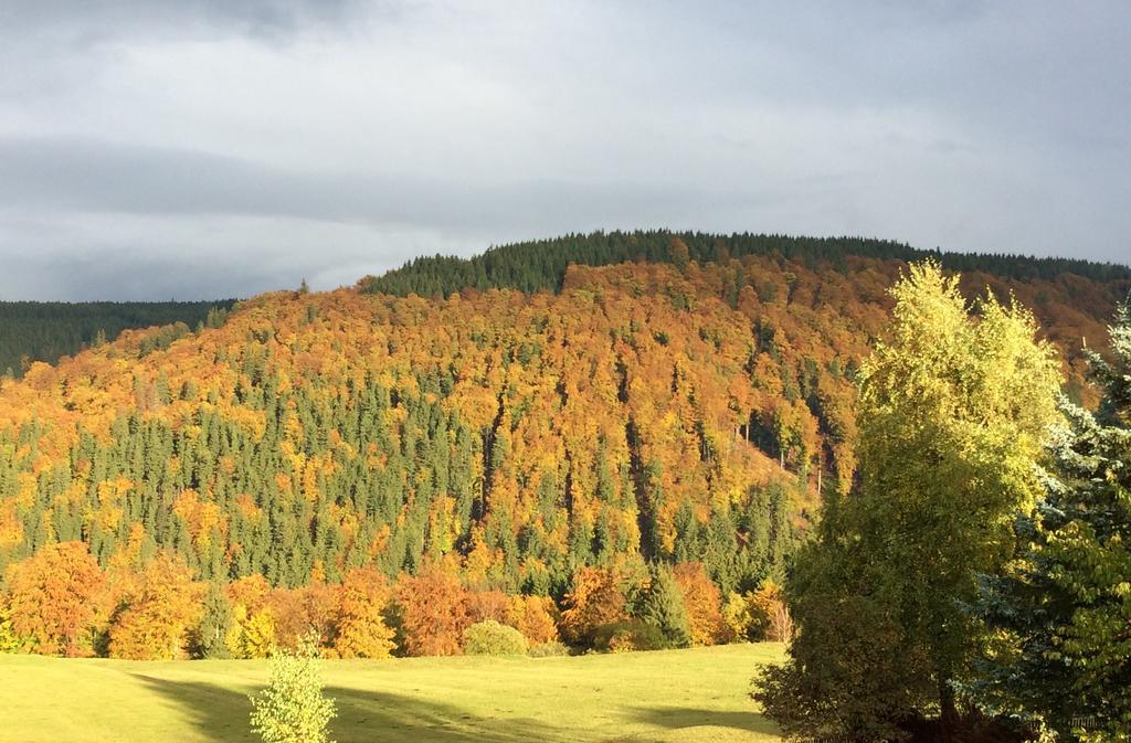 Ferienwohnungen Gehlberg Luaran gambar