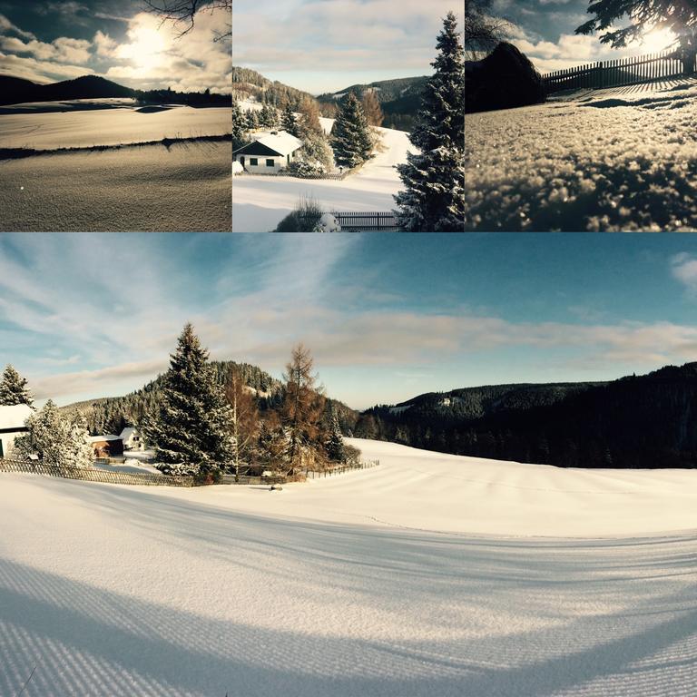 Ferienwohnungen Gehlberg Luaran gambar